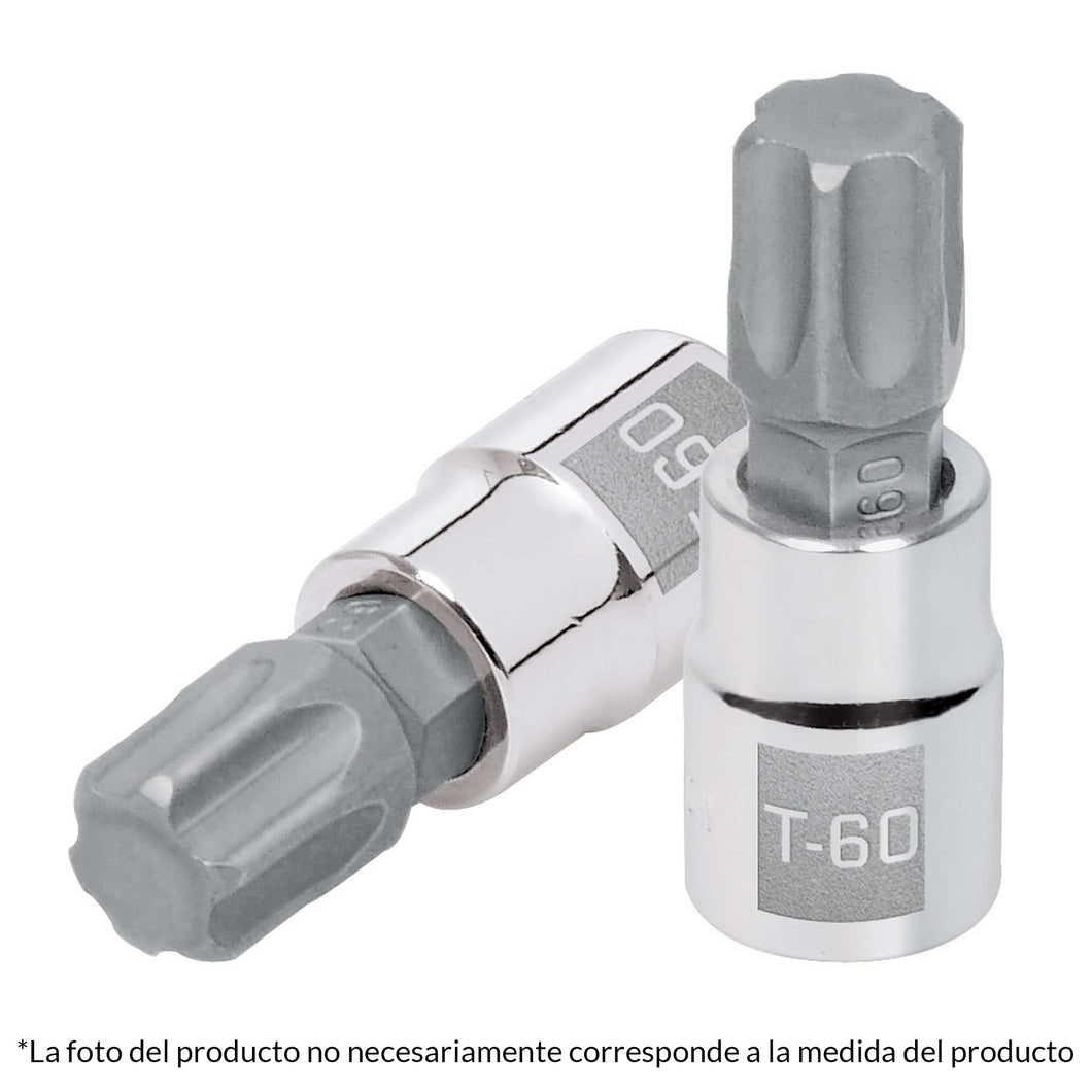 Dados punta Torx, cuadro 3/8', T-20